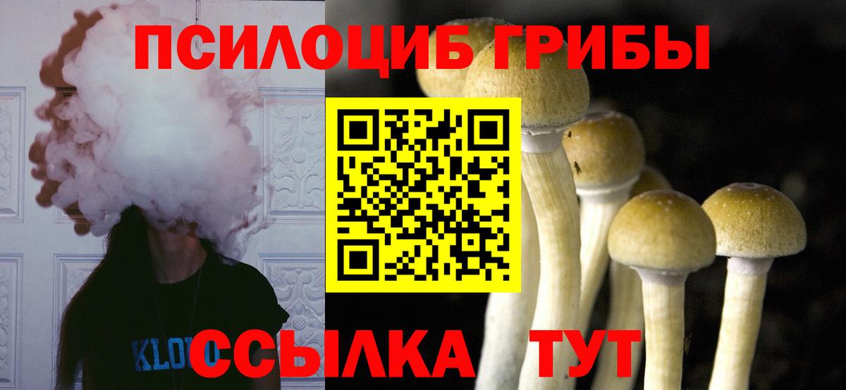 Галлюциногенные грибы MAGIC MUSHROOMS Уфа